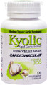 Wakunaga Kyolic Aged Garlic Extract