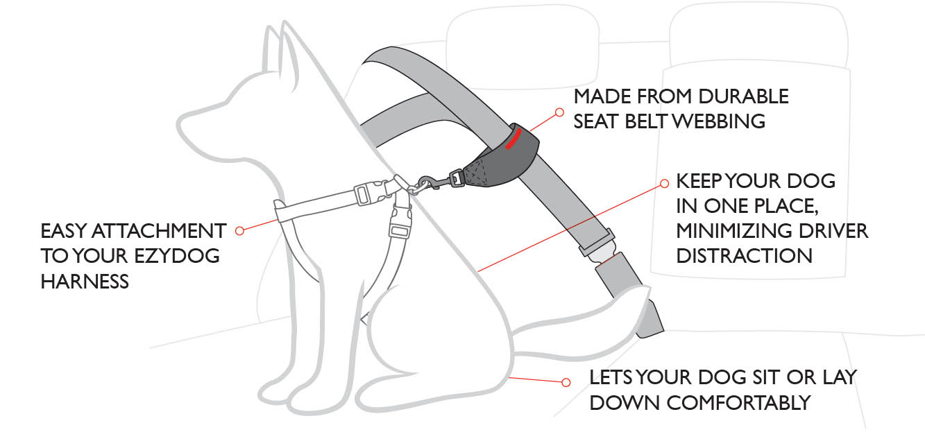 ezydog harness seat belt