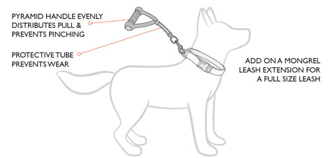 mongrel-lead-diagram.jpg