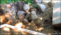 Excavation Videos