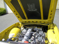Triumph TR6 Bonnet Liner Heat Shield With or Without Wreath Emblem