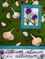 Magnet "Allium Sativum In Aeturnum"