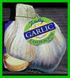 Totally Garlic Cookbook