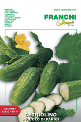 Cucumber Picollo di Parigi (38-2)