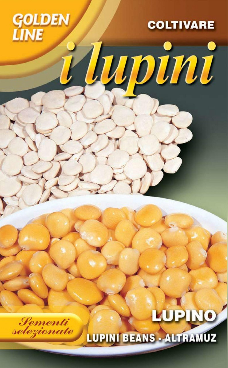 Lupini Beans - Edible Lupine GLLE 87-50 - Seeds from Italy