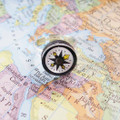 Liquid Filled Yellow Fleur Compass Ring