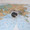 You've got the whole world in your hand (and on your neck).  This genuine working compass shows you the world.
