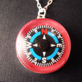 Pink Compass Necklace