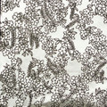 Art Clay Exclusive Silver Foil - Flower