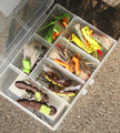FlyBass Big Trout/Bass Hopper Selection
