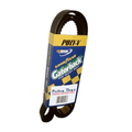 Gator Back Belt 10 Rib