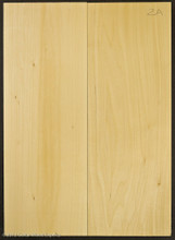 2A 2 Piece Basswood Body
