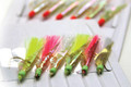 OTI Bait Catching Rigs