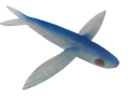 FRENZY Ballistic Flying Fish