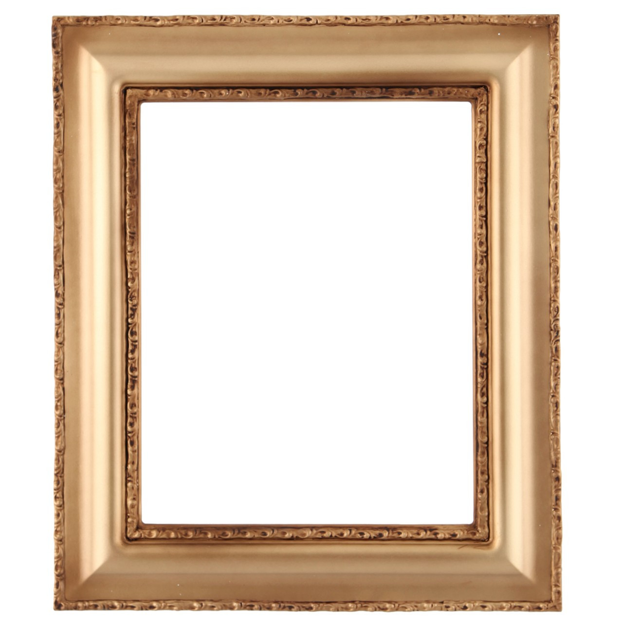 Rectangle Frame in Desert Gold Finish Antique Gold Picture Frames