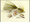 7 Classic Fly Patterns