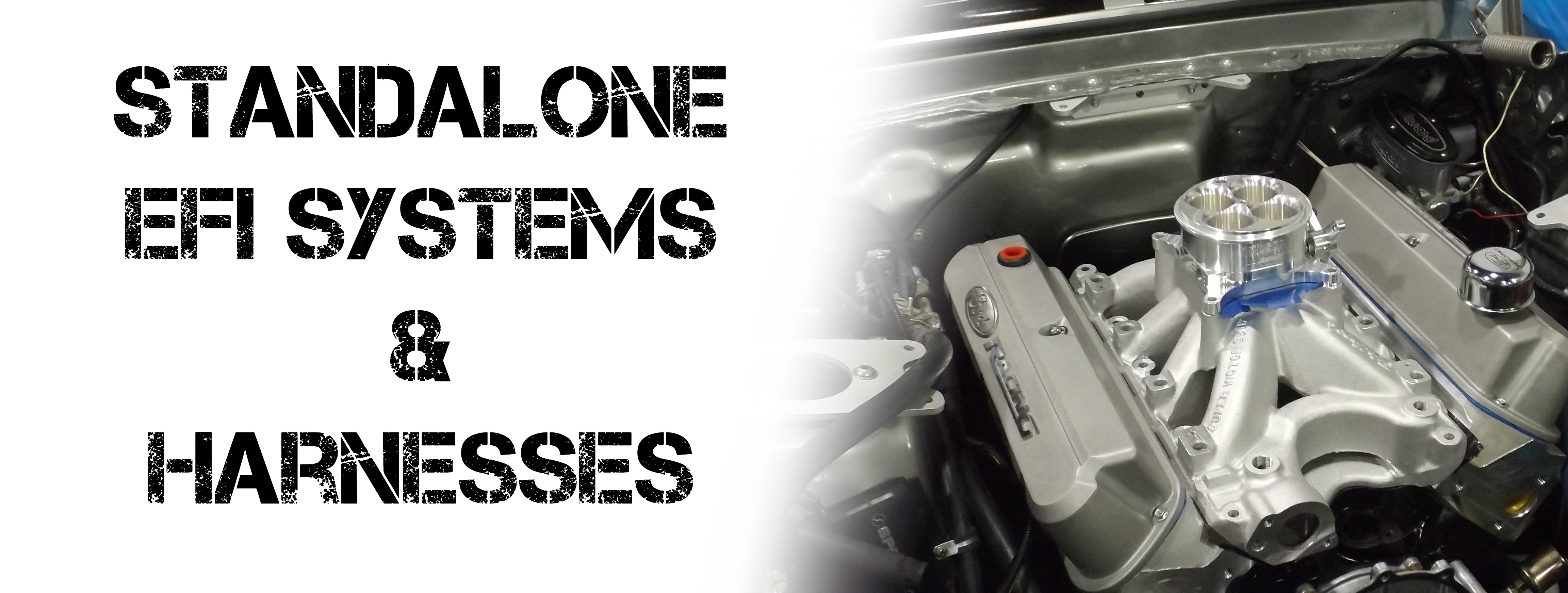 Efi Standalone Systems U0026 Components