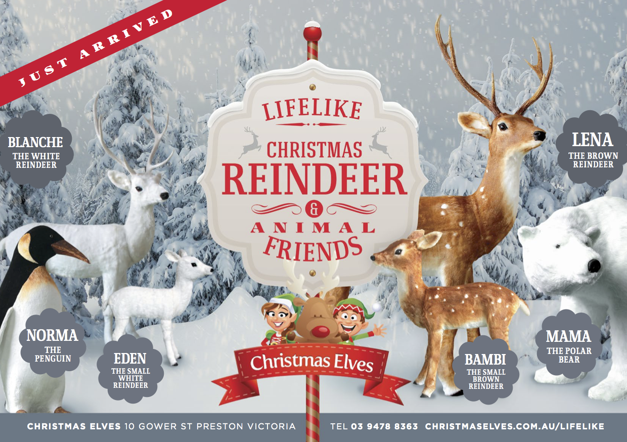 Christmas LifeLike Reindeer Christmas LifeLike Reindeer