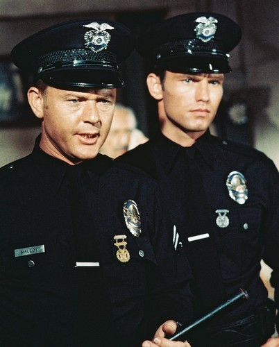 Picture of Adam-12