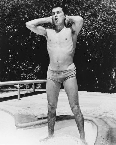 Picture of Alain Delon