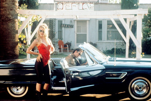Picture of Wild at Heart