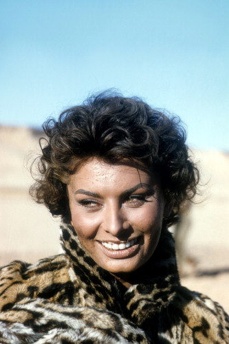 Picture of Sophia Loren