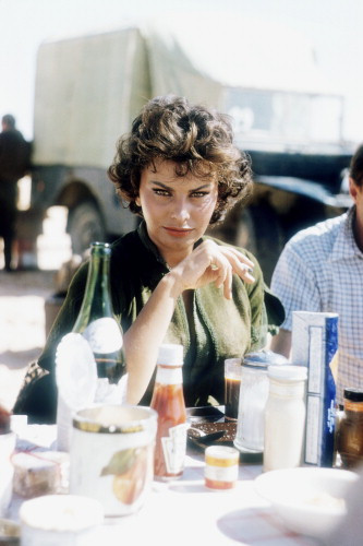 Picture of Sophia Loren