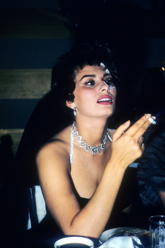 Picture of Sophia Loren