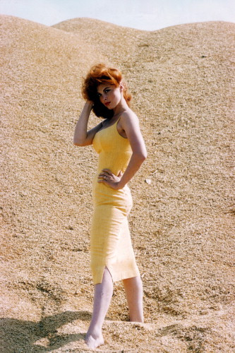 Picture of Tina Louise