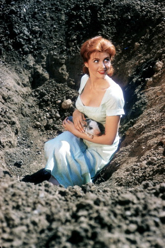 Picture of Tina Louise in God's Little Acre