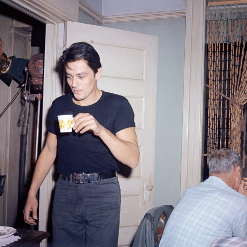Picture of Alain Delon