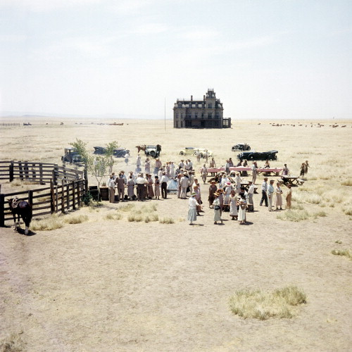 Picture of Giant