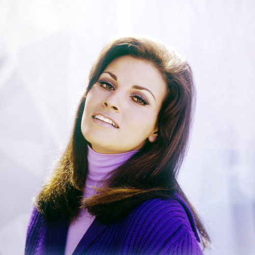 Picture of Raquel Welch