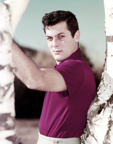 Picture of Tony Curtis