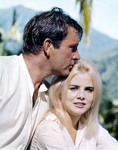 Picture of The Night of the Iguana