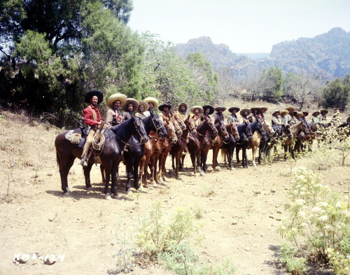 Picture of The Magnificent Seven
