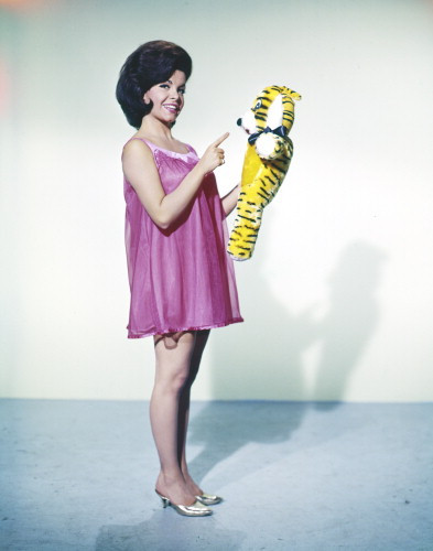 Picture of Annette Funicello