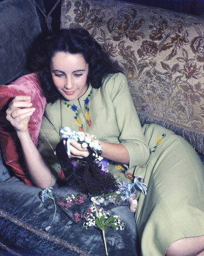 Picture of Elizabeth Taylor