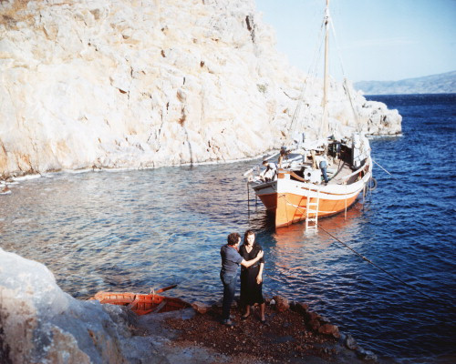 Picture of Boy on a Dolphin