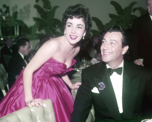 Picture of Elizabeth Taylor