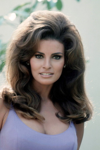 Picture of Raquel Welch