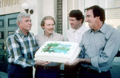 Picture of Return to Mayberry