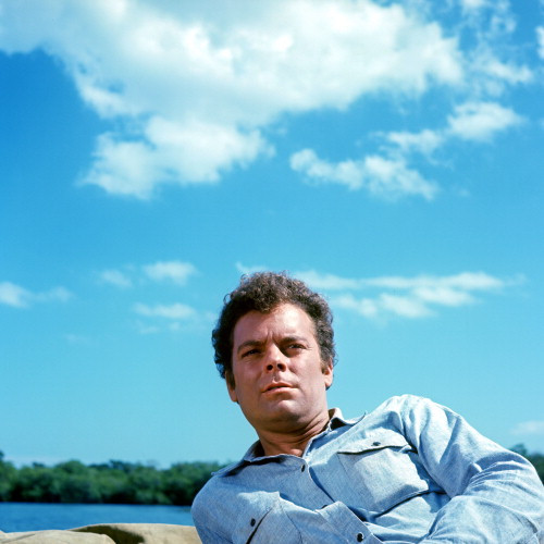 Picture of Russ Tamblyn