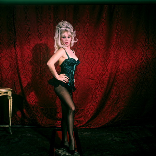 Picture of Mamie Van Doren