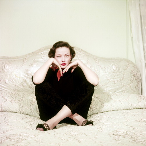 Picture of Gene Tierney