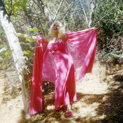 Picture of Mamie Van Doren