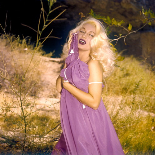 Picture of Mamie Van Doren