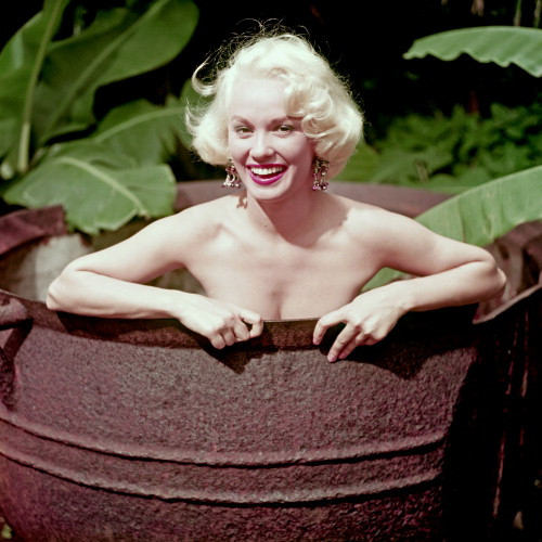 Picture of Mamie Van Doren