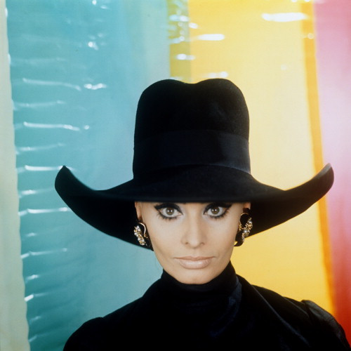 Picture of Sophia Loren
