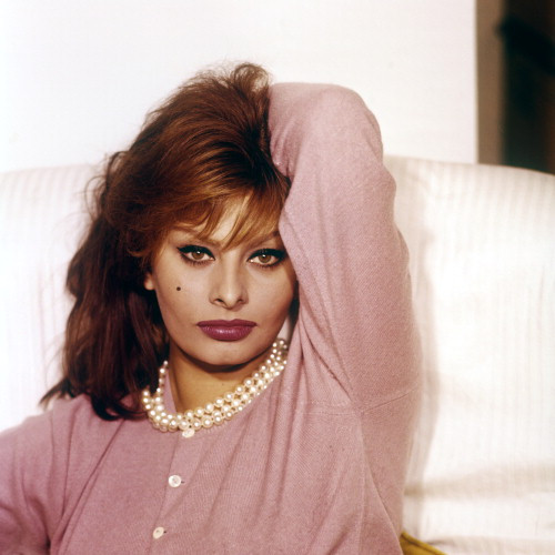 Picture of Sophia Loren